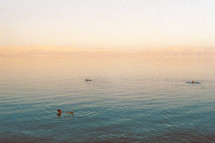 People lounging in The Dead Sea
