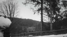 Old narrow gauge steam train in the countryside filmed in B/W.
