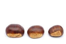 chestnuts 