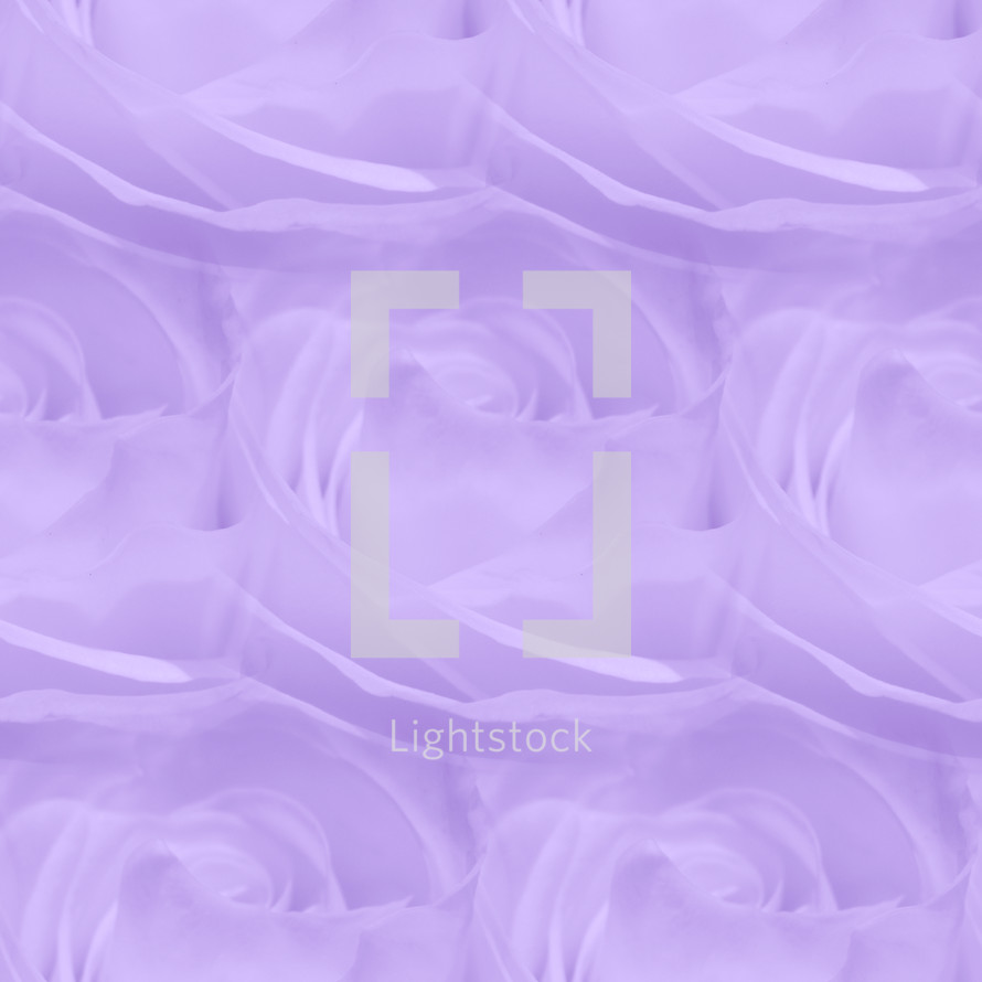 repeat background - kaleidoscopic view of rose closeup in purple