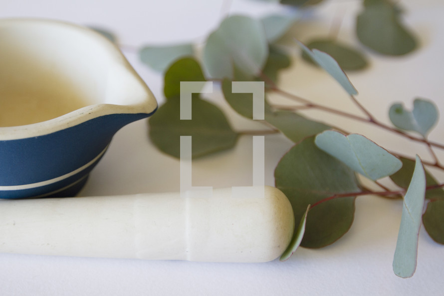 pestle and mortar on white with eucalyptus 