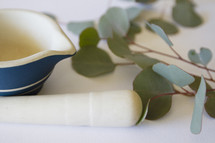 pestle and mortar on white with eucalyptus 