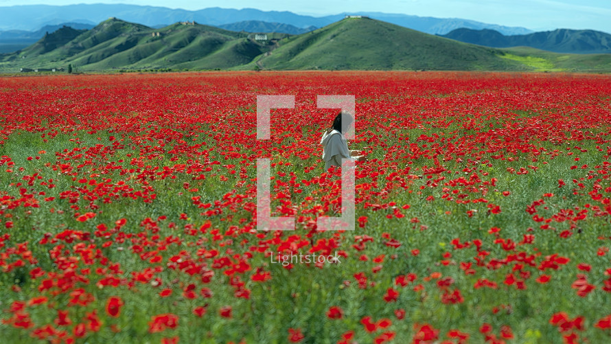 Jesus in a beautiful poppy field near the Galilee Hills - Israel. Depth of Field
