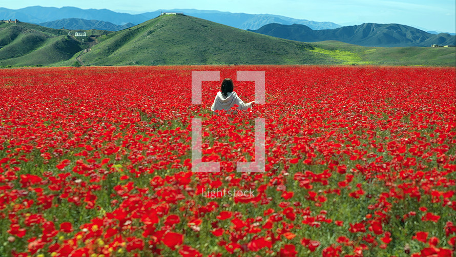 Jesus in a beautiful poppy field near the Galilee Hills - Israel. Establishing shot
