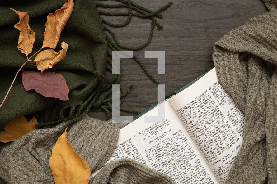 fall leaves on a green scarf and Holy Bible 
