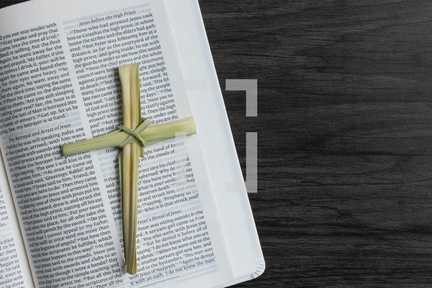 palm cross on an open Bible 