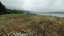 a coastal field of wildflowers and muddy shore 