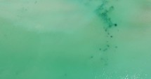 Aerial drone shot - Bird's eye view of turquoise water and seashore in Balchik, Bulgaria
