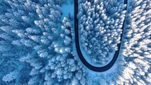 Aerial Drone shot of Scenic View Of White Treetops Along Winding Asphalt Road During Winter.