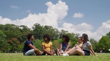 A Group of Multiethnic Young friends sitted in the Park, Talking and Laughing. Diverse Friends Celebrating and Enjoying their Hang out Outdoors