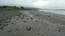 a muddy shoreline 