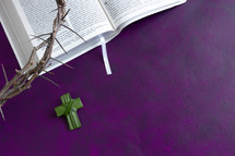 open BIble, crown of thorns and palm cross on a purple background 