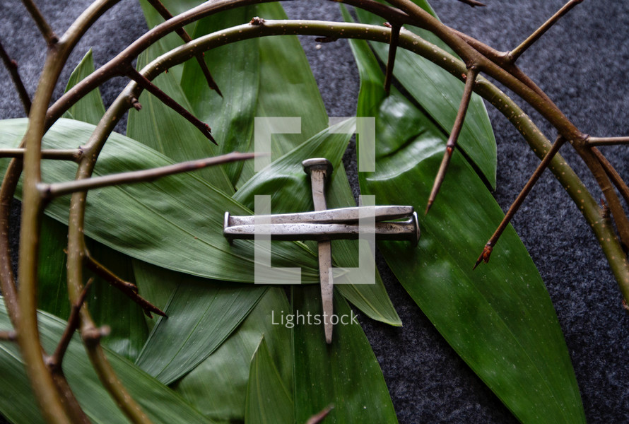 cross of nails, crown of thorns, and palm fronds 
