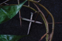 crown of thorns, green leaves, and cross of nails 