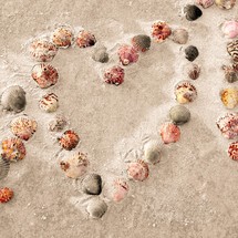 heart shape made of seashells in sand 