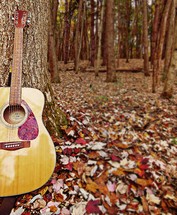 acoustic guitar leaning against a tree and fall leaves 
