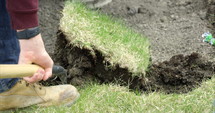 Man struggles to lift shovel full of grass - close up on shovel
