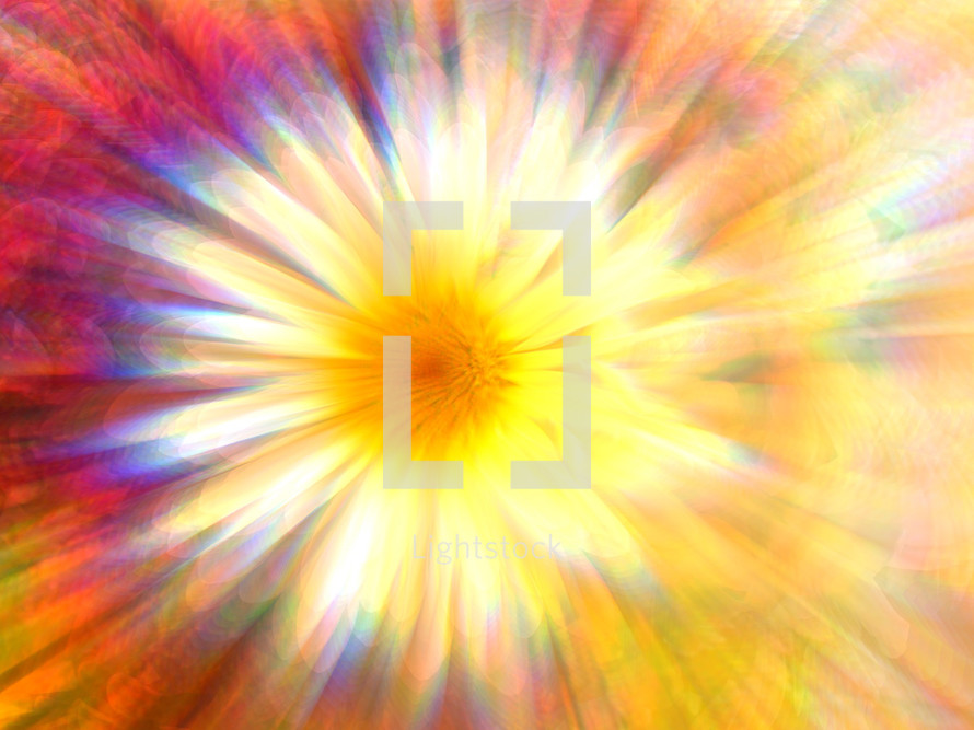 Colorful, radiating flower