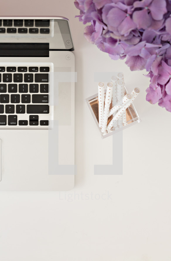 laptop computer and vase of hydrangeas 