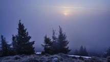 Sunrise in a foggy mountain landscape, sunrise filtering through the trees at the top of a hill.