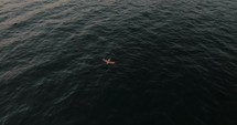 Drone shot Following A Pelican Flying Over The Ocean In Guanacaste, Costa Rica 
