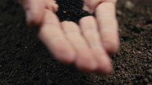 Homemade Farmer Hand Gently Sowing Basil Plants for Harvest
