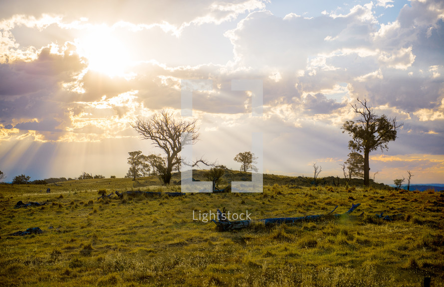 Sunrise over a hill with trees in Crookwell, Southern Tablelands, New South Wales, Australia.