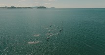 Following Above A Flock Of Pelicans Flying In Formation, Guanacaste, Costa Rica - aerial drone shot	