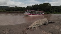 Crocodile River Boat Tour Costa Rica Adventure
