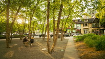 Park in Yorkville Square Toronto 