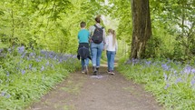 Mother Son And Daughter Together Walking Through Bluebell Woods In Spring