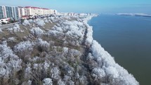 Frosted Forest By The River Of Danube In Galati City, Romania. Aerial Drone Shot	