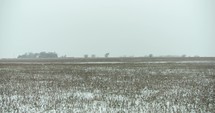 Slow motion winter snow landscape. Snow falls in slow motion on farmland.
