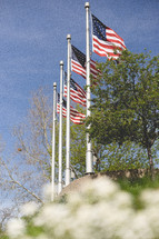 War Memorial with 3 American Flags. Patriotic image taken in Indianapolis, Indiana.