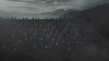 Big Army of Elves Wearing Full Armor Marching to a Battlefield