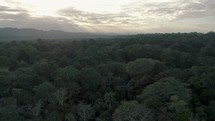 Flight over dense rainforest canopy in Central America; golden hour	