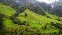Aerial shot drone flies over green field in Cocora Valley
