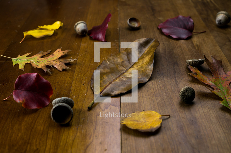 acorns and fall leaves on a wood floor 