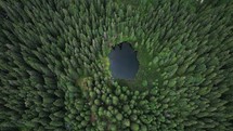 Drone footage of a small glacial lake surrounded by dense woodland in the mountains of Romania