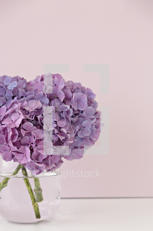 vase of purple hydrangeas 