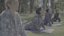 Group of mature women and female teacher performing cobra pose on mats while having yoga practice outside in the park. Ungraded footage