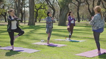 Group of mature women and female instructor practicing tree pose with hands in Namaste during yoga in the park on sunny day