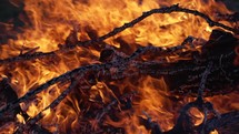 Tree branches and wood burning in hot flames of a camp fire in cinematic slow motion.