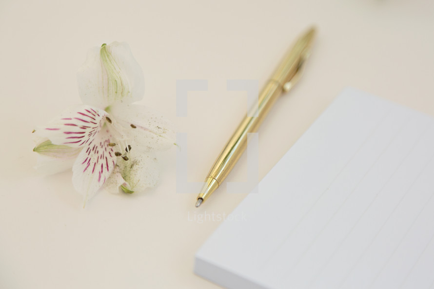 orchid and pen on a desk 