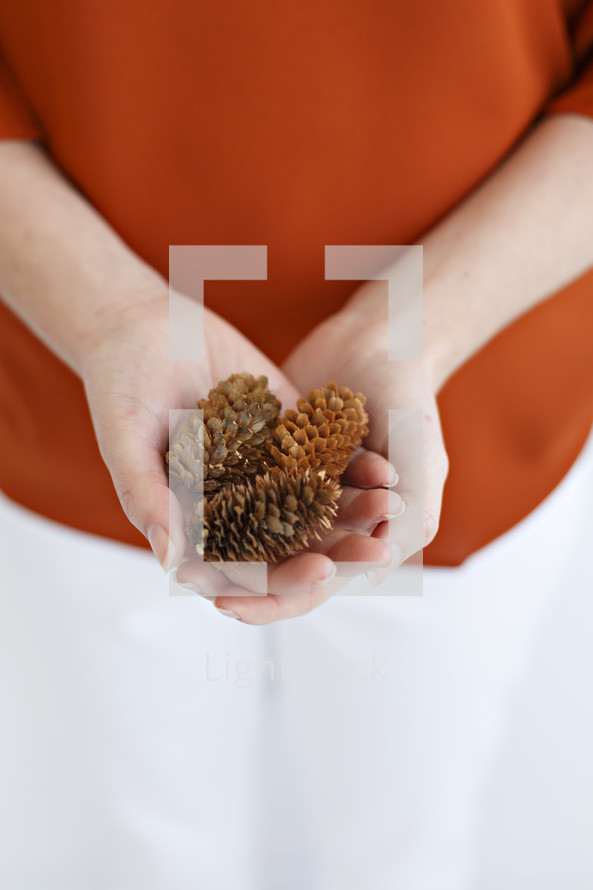 cupped hands holding pine cones 