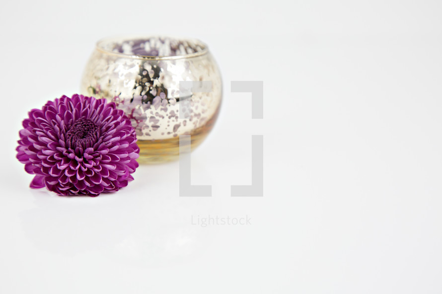 metallic bowl and purple flower on white 