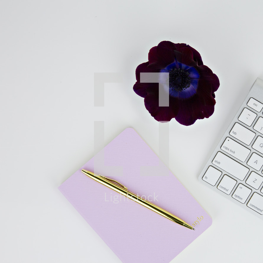 computer keyboard, pen, journal, and flower on a white background 