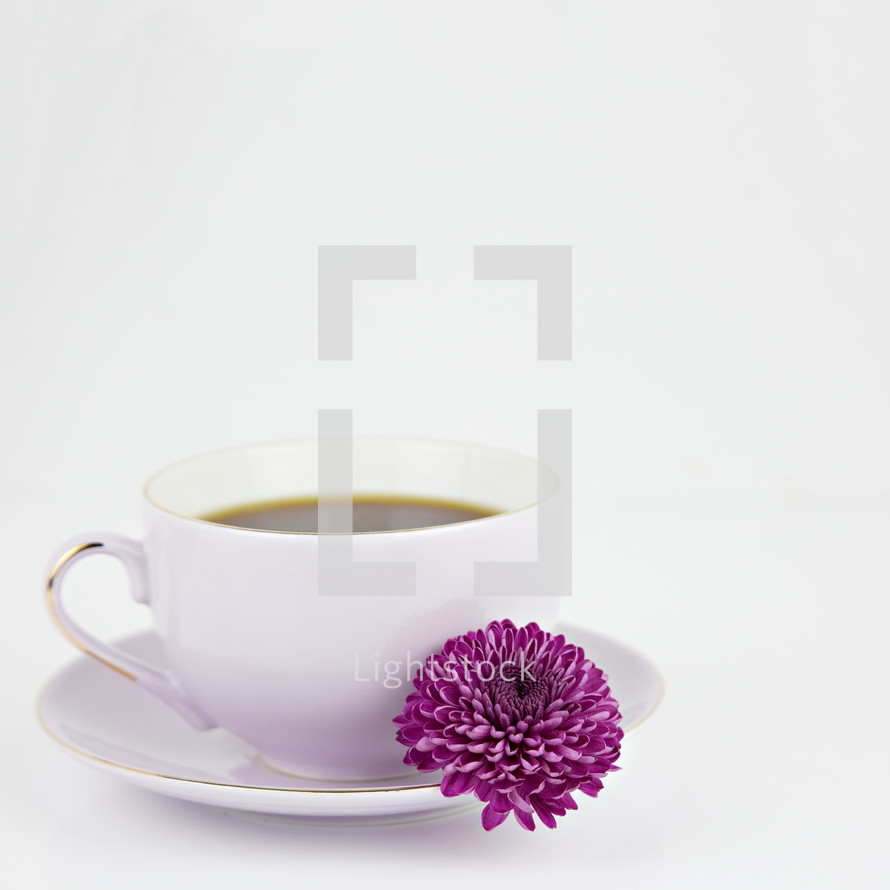 coffee cup and purple flower 
