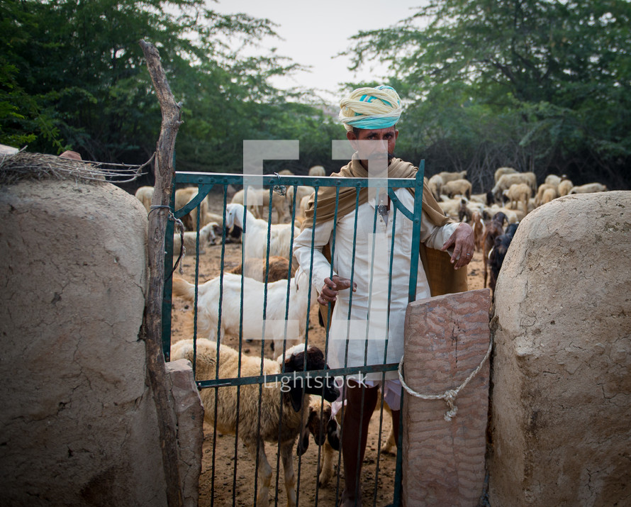 Man at the gate of a livestock pen.