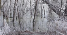 Ducks On Danube River Through Snowy Forest In Galati, Romania During Winter. static shot	